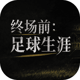 终场前：足球生涯